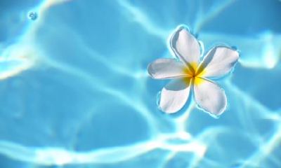 2019年9月13号丑时出生的女孩应该取什么名字符合五行,以及她的五行属相是什么?