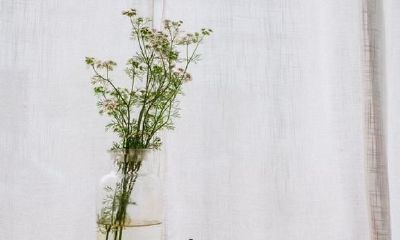 与天蝎座对抗将自食其果或与之同归于尽,应保持距离!