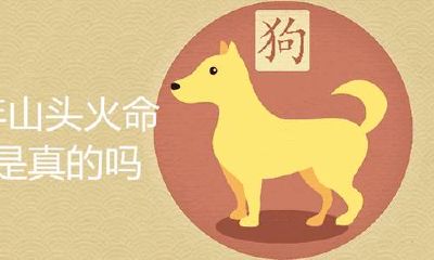 1994年山林大火命运究竟是真是假?是否拥有不可抗力的力量?