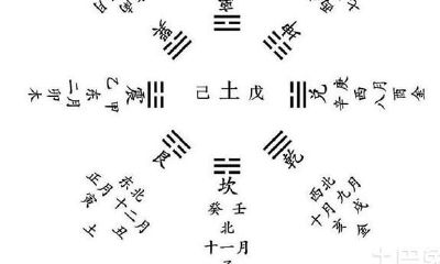 详细介绍十二生肖的配对及其解析内容