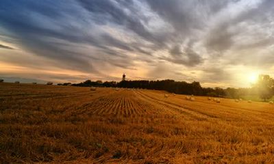 探究2005属相鸡在2022年的运势:预测、分析与解读