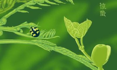 的?怎样判断惊蛰日出生者是否是纯阴命格?