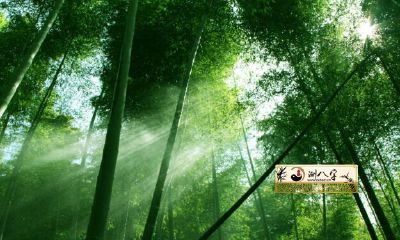 2022年详细解析-十二生肖之兔男运势如何?