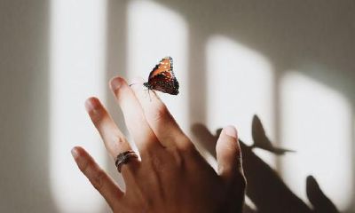 深入探究:天秤座为何会回避与某个人交往的原因?