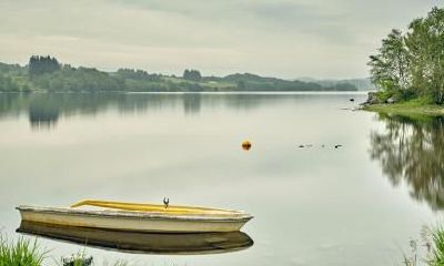 如何为2019年2月16日出生的男婴取名,根据五行属性选择合适的名字?