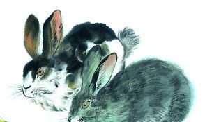 属相为兔的人:富有情感且怀抱壮志