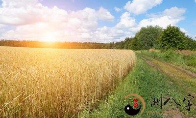 沐浴在温暖阳光下,感受大地与自然的亲近——回忆梦游田园景色的美好体验