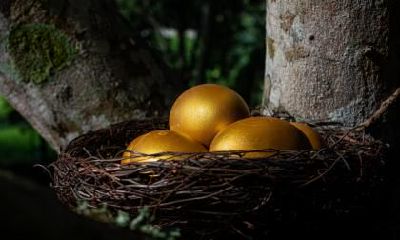 2019年4月7日傍晚诞生的男婴该如何起名及其未来性格特点