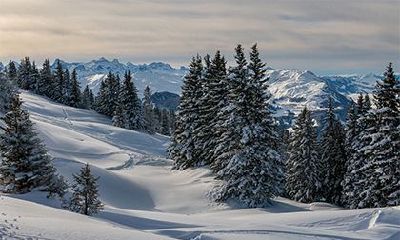 经文考证:揭示水命人神仙下凡的独特特征及其背后的历史沿革,进一步剖析其出生年份的奥秘
