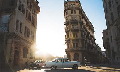 如果你是属狗人士,那么在2022年选择居住楼层和方位时应该注意什么?