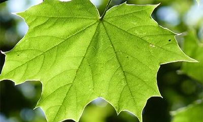 如何给出生在2021年农历六月二十八日五行缺水的女孩取一个吉利而适合五行的名字?