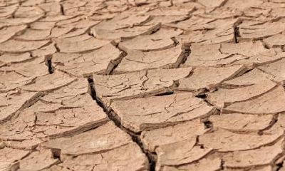 如何为2019年三月二十五日出生的男孩选择适宜五行属性的名字?