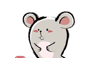 在2020年这个鼠年本命年,应该按照阴历还是阳历来计算呢?