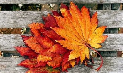 查询2020年能带来好运的数字和颜色,发掘幸运元素之道