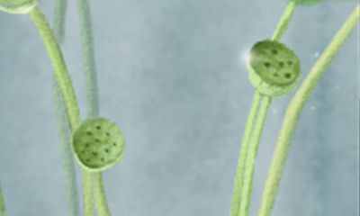 四月的生肖们不再忧心忡忡担惊受怕地过日子,舒适轻松的生活氛围悄然而至