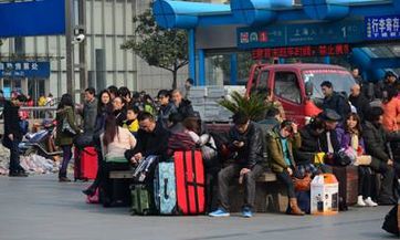 2023年生肖属猪人开业吉日查询:二月农历哪一天最为吉祥?