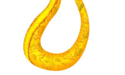 详解属巳蛇的人生命运势与趋势分析