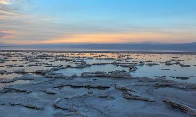 余姓家族排名中的位置是多少?并告诉我们,余姓祖先是谁