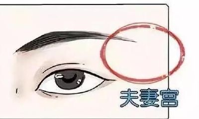 探讨面相学如何揭示你和哪种人的拍档最完美!