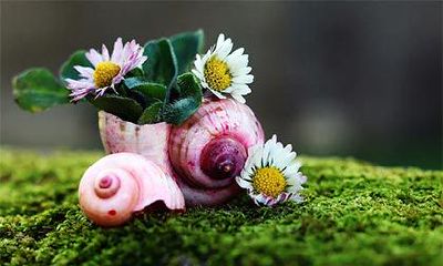 2023年农历一月完整日历表:最新版正月节庆日列表与相关注意事项