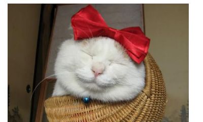 尝试这个心理测试,看看哪种颜色最适合你,成为你的幸运色吧!