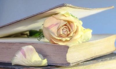 2023年的猴年,猴子的学术成就表现如何?他们的学业成就是否优异?