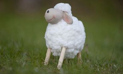 2023年属猴人的综合运势分析:从健康、财运到感情生活的全面预测,并详述兔年运势情况