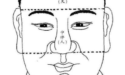 掌握面相学:详细解析“三停五官十二宫”对凶吉运程的影响,适合初学者的相术入门指南!