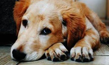 2023年2月22日:适合开业交易的黄道吉日吗?是否是做生意的最佳开门日?