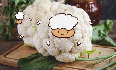 【详解】生肖羊2019年文昌贵人属相及解析:如何准确辨识羊年的文昌贵人?