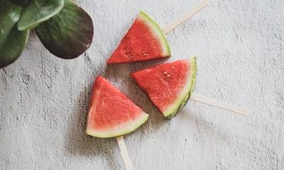 2023年属鼠人的全年运势与生肖年运程详解