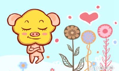 2021年属猪人的年龄对照表:如何计算属猪的人在今年的实际年龄?