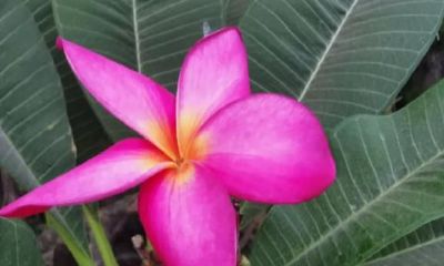 如果我们进行八字合婚是不是可以预测我们的幸福?