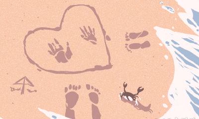 猪年生肖宝宝中哪个月份出生的运势最佳?看看2019年各月份的猪宝宝命运如何!