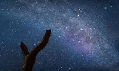 2023年闰二月初四日出生的孩子是否属于白羊座星座?