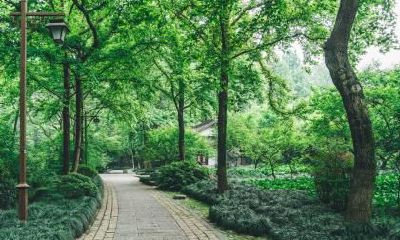 2021年农历十一月二十五日诞生的男婴五行需求缺失木火元素,需要取名以弥补五行,具备平衡之力!