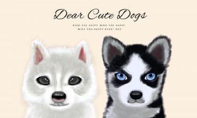 属狗人在2023年运势最糟糕的时间段是哪几个月?——以1994年出生的属狗人为例