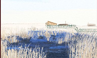 根据星象预测,赖国光2016年11月在财运、事业、感情等方面的生肖鼠运势表现如何?