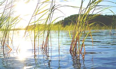 老黄历显示2023年闰二月十九日是否为吉日,您可以请教一下吗?