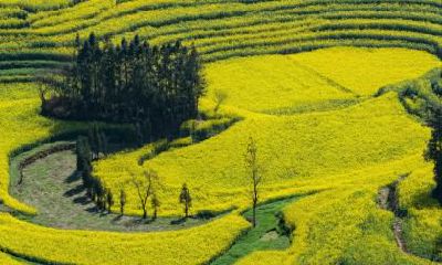 2021年农历十一月二十日降生的宝贝女子,五行属性精心选取的命名建议