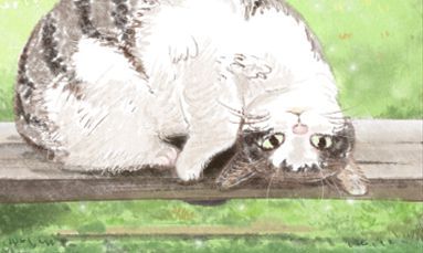 探究塔罗奥义2016年10月各个生肖鸡的全面运势预测