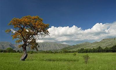 请问2023年农历二月十一日是否适宜举办喜庆活动?