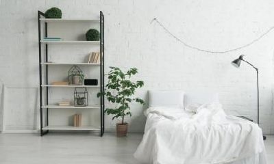 如何在2023年的闰二月二十三日安排优质的睡眠体验?