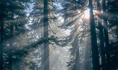 2023年农历二月十八日是否符合黄历宜忌之黄道吉日?