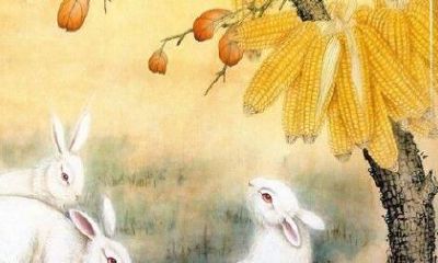 天生体魄强健,最适合运动的三大生肖,受瞩目的运动细胞!