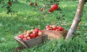 中门口风水布局要点:大门不宜直通到底,应用屏风或固定障碍制造缓冲区域以提升家庭和谐运势