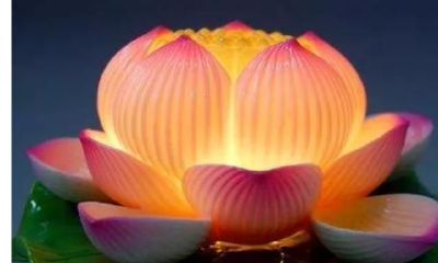 进行心理测试:从多个莲花灯中选择一盏,揭示你近期可能会经历的双倍好运!