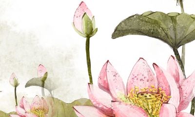 在2019年属狗人中,选定10月结婚是否合适?请探讨10月结婚时的吉日选择