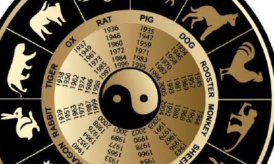 探究紫薇命盘实例:如何从中看穿一生事业和财运的走向?