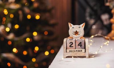 从多个角度了解自己的出生信息,但不确定如何编写生辰八字表?以超简单方式在线查询!